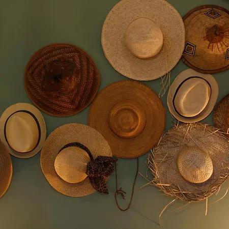 Les Magnolias Oullins